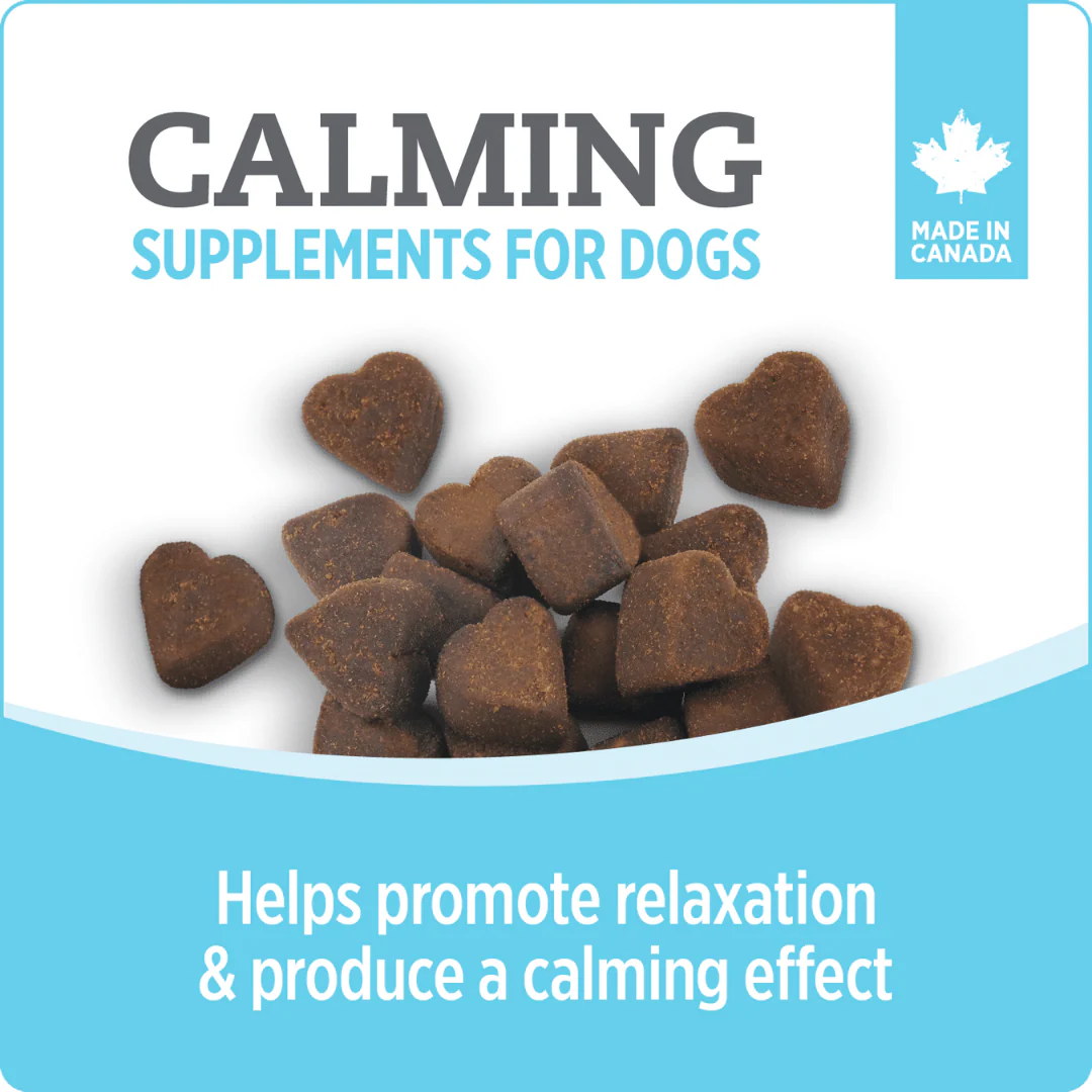Nutrience Care Calming+ Supplement for Dogs 400g - Image 4