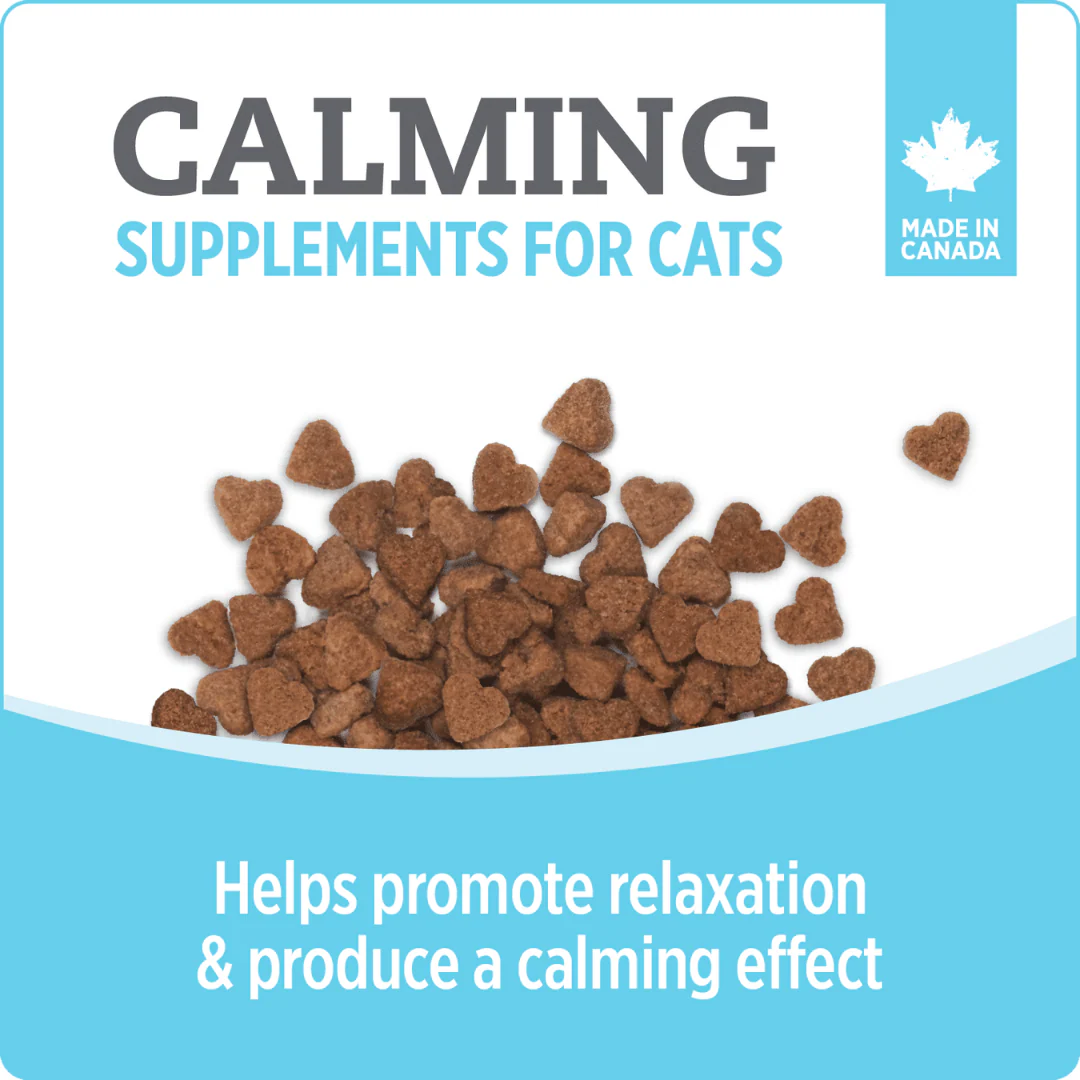 Nutrience Care Calming+ Supplement for Cats 180g - Image 4