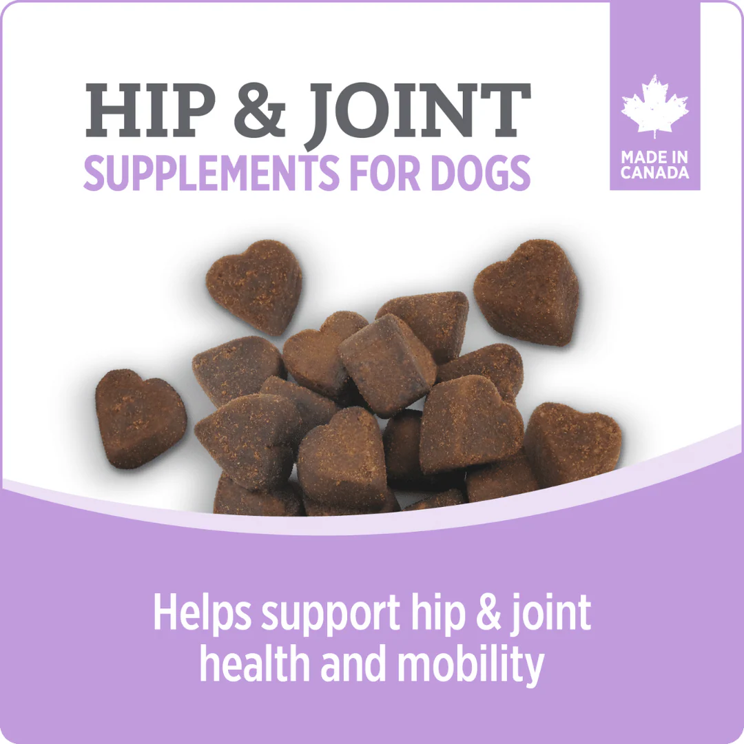 Nutrience Care Hip & Joint+ Supplement for Dogs 400g - Image 4