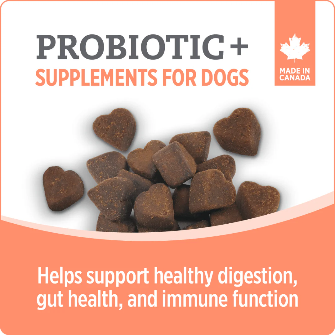 Nutrience Care Probiotic+ Supplement for Dogs 400g - Image 4