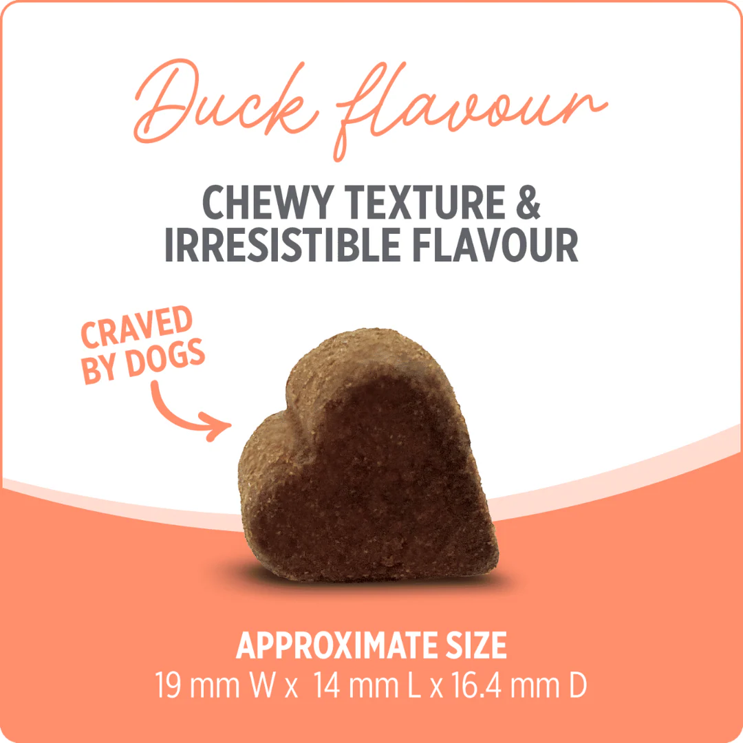 Nutrience Care Probiotic+ Supplement for Dogs 400g - Image 5