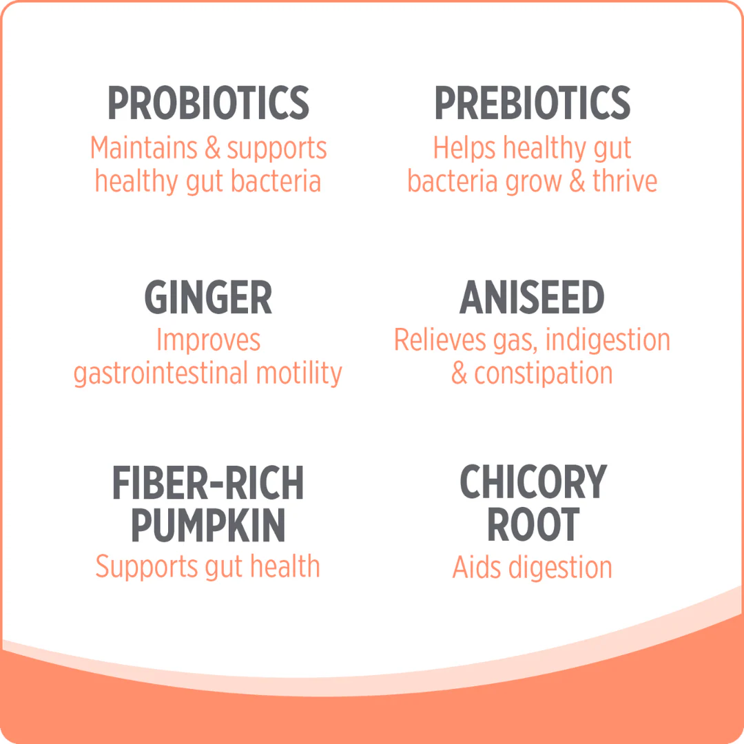 Nutrience Care Probiotic+ Supplement for Dogs 400g - Image 6