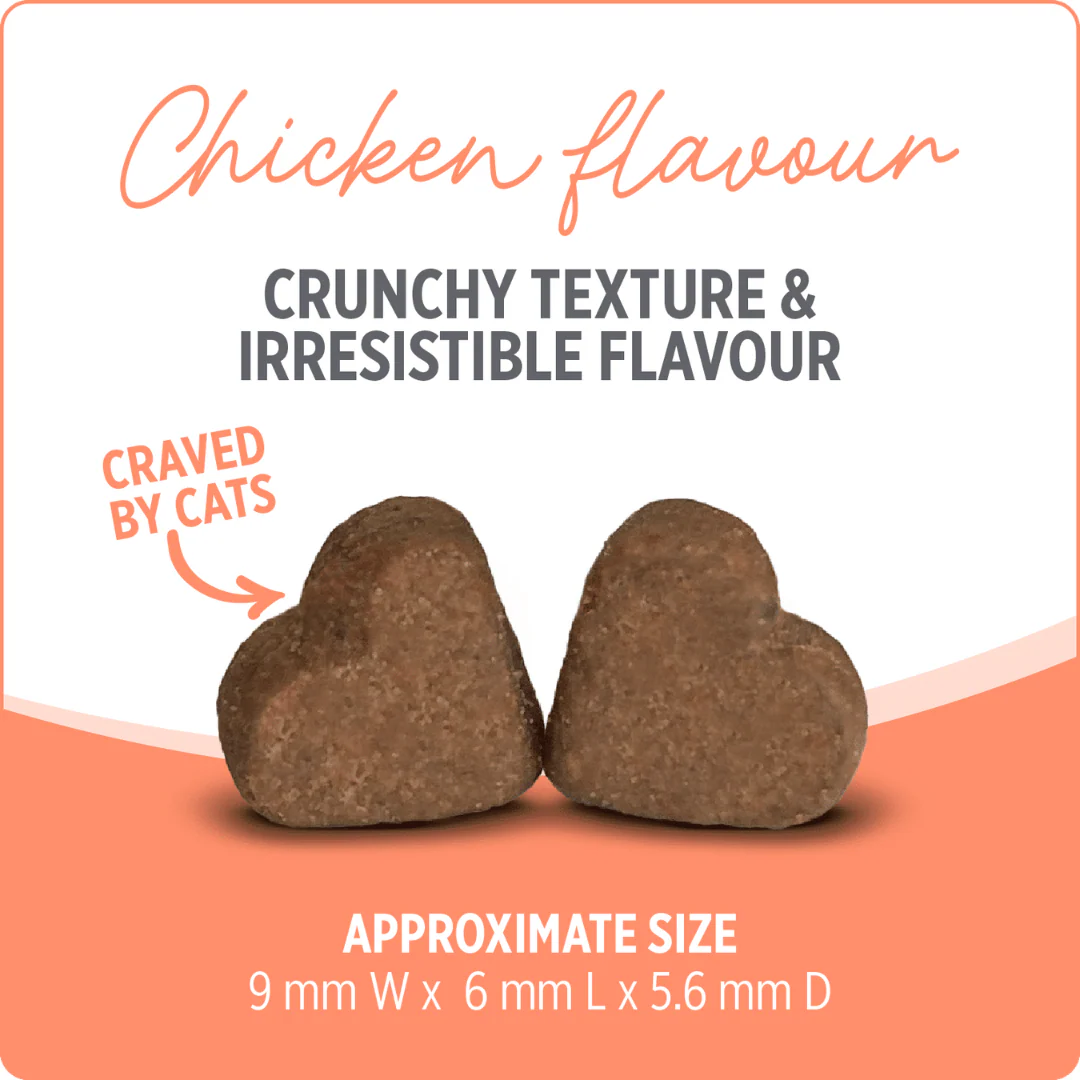 Nutrience Care Probiotic+ Supplement for Cats 180g - Image 5