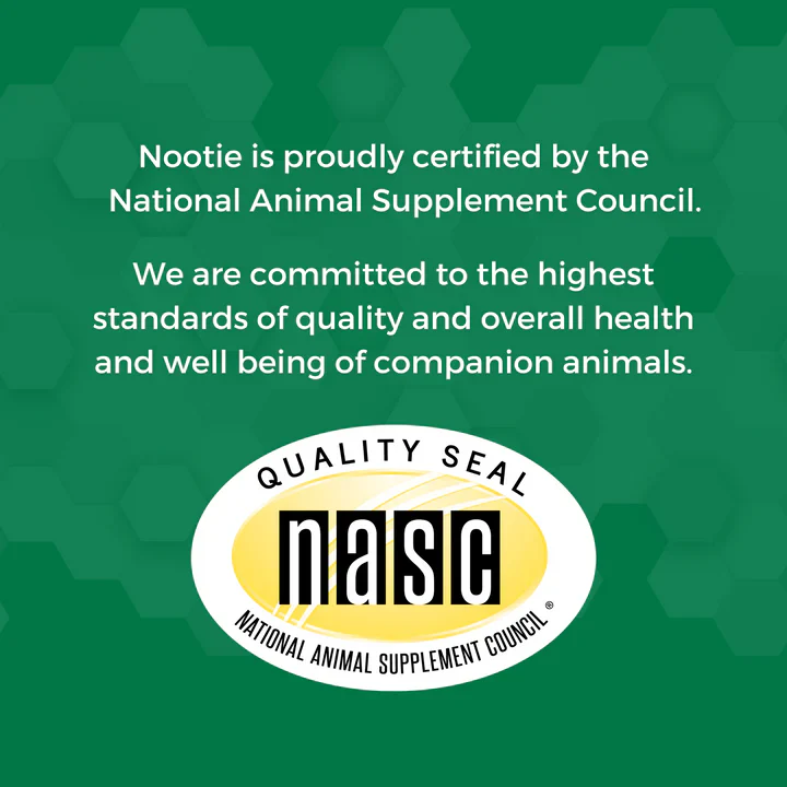 Nootie Progility Allergy & Immune Soft Chew Supplements for Dogs 450g - Image 2