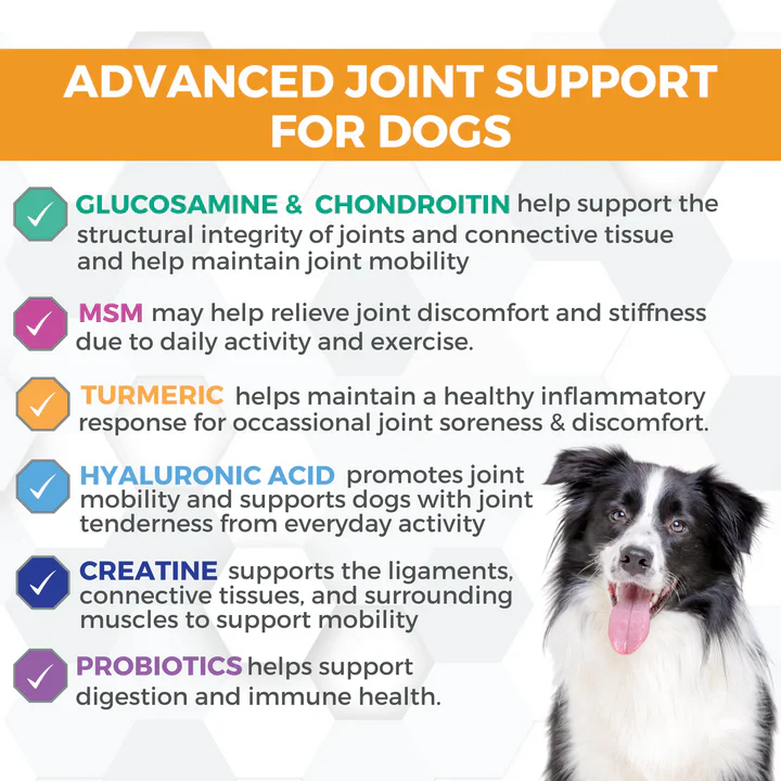 Nootie Progility Hip & Joint Soft Chew Supplements for Dogs 450g - Image 3