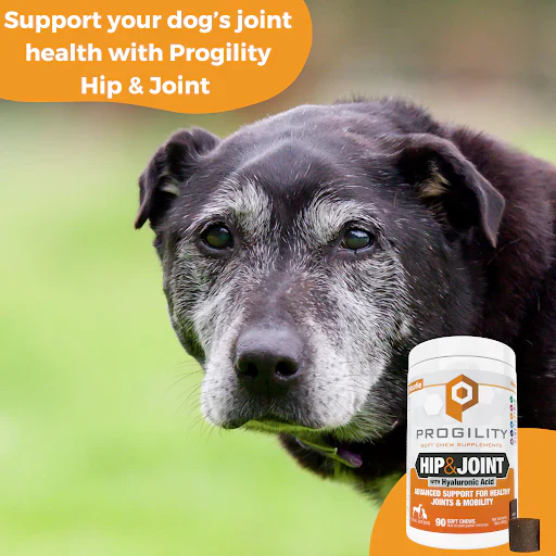 Nootie Progility Hip & Joint Soft Chew Supplements for Dogs 450g - Image 5