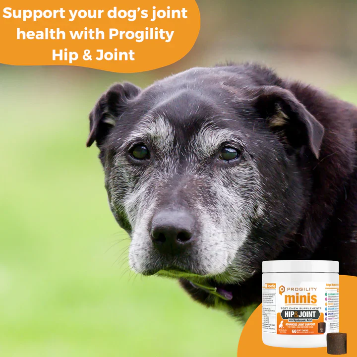 Nootie Progility Minis Hip & Joint Soft Chew Supplements for Dogs 120g - Image 5