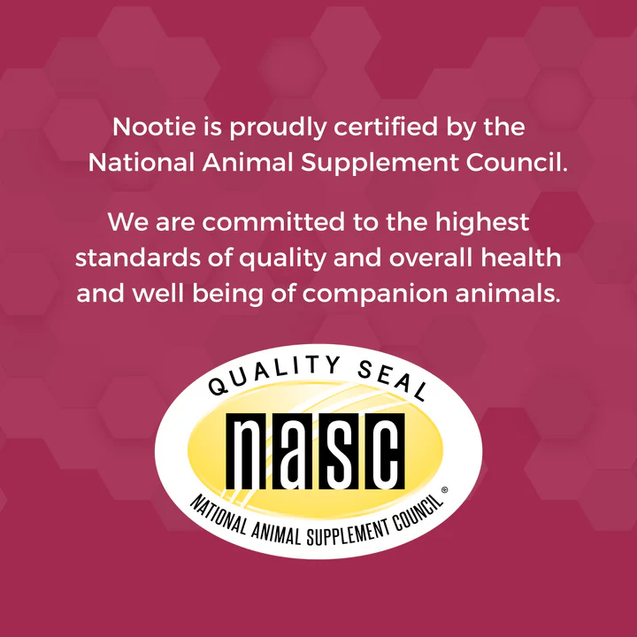 Nootie Progility Minis Urinary Support Soft Chew Supplements for Dogs 120g - Image 2