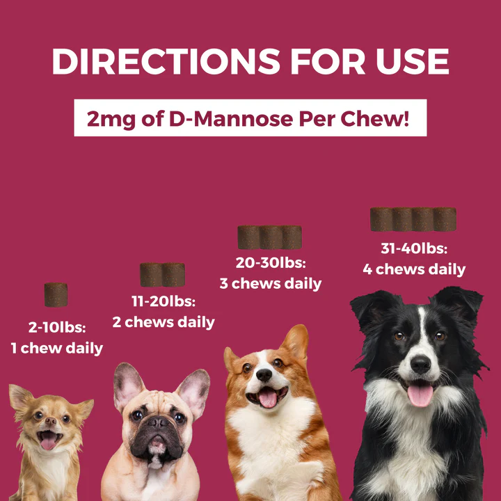 Nootie Progility Minis Urinary Support Soft Chew Supplements for Dogs 120g - Image 3