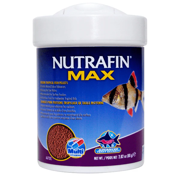Nutrafin Max Medium Tropical Fish Pellets - Image 2