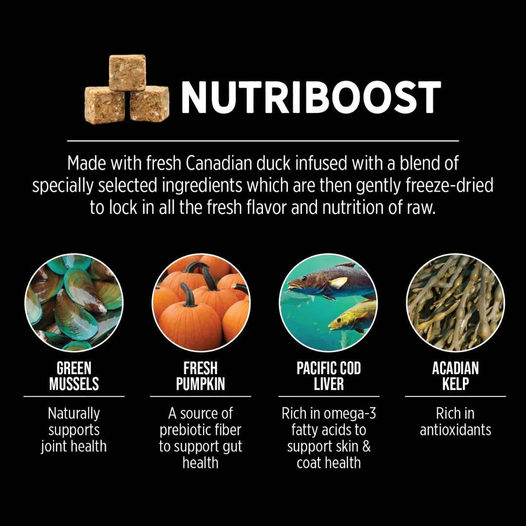 Nutrience SubZero Northern Lakes Fish & Duck Dog Food 10kg - Image 5