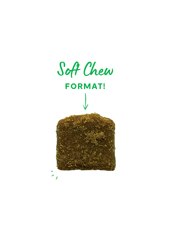 Open Farm Hip & Joint Supplement Soft Chews for Dogs - Image 4