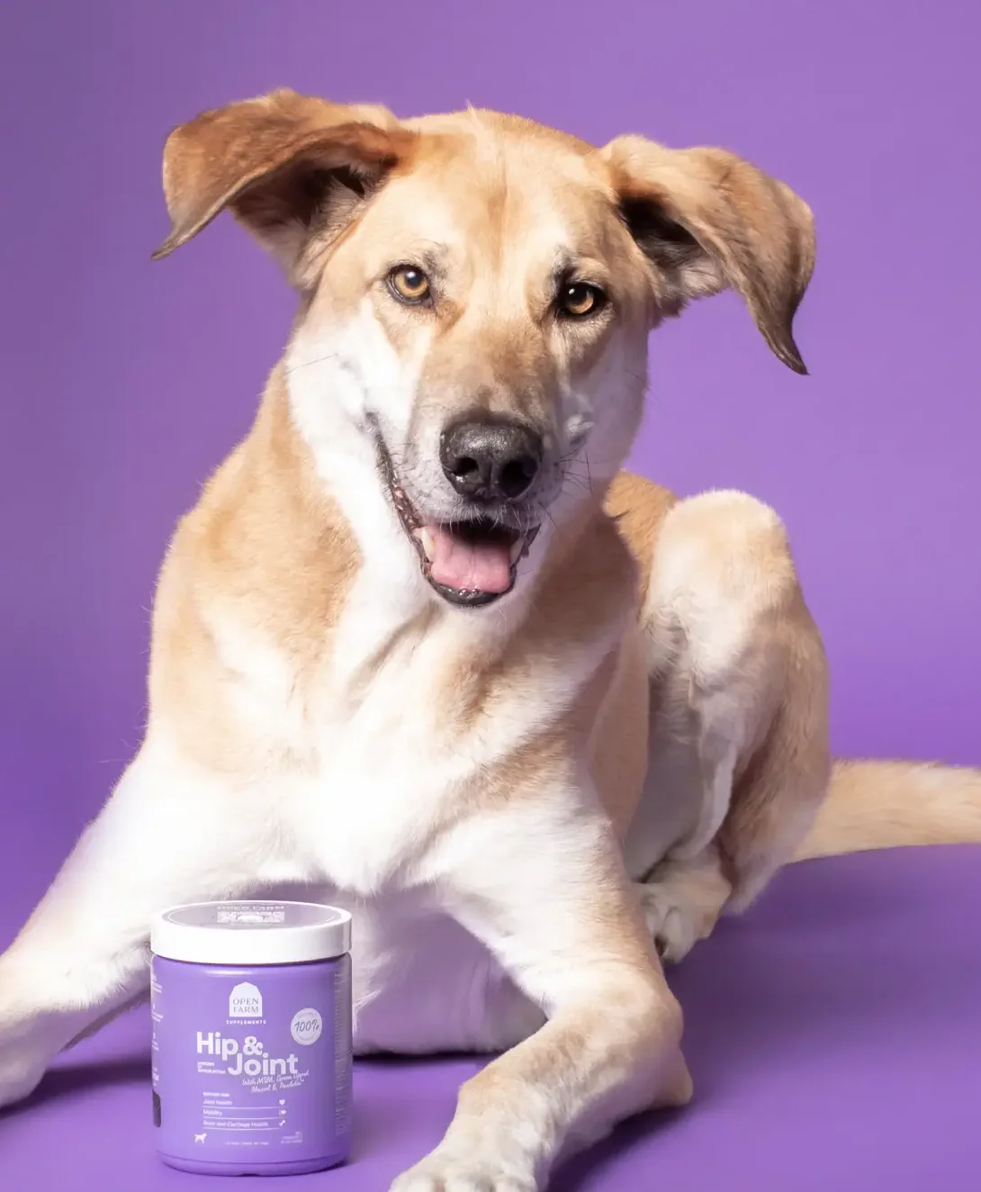 Open Farm Hip & Joint Supplement Soft Chews for Dogs - Image 5