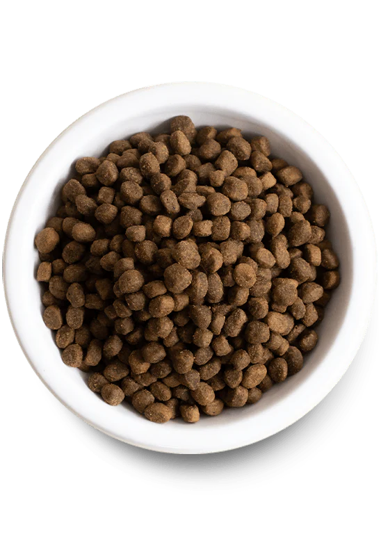 Open Farms Ancient Grains Puppy Food - Image 3