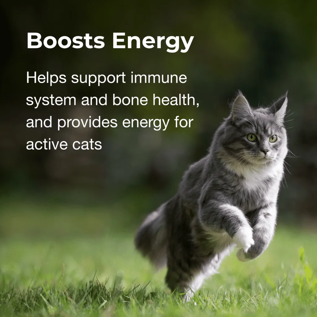PetAg Vitamin & Mineral Gel Supplement for Cats 100g - Image 5