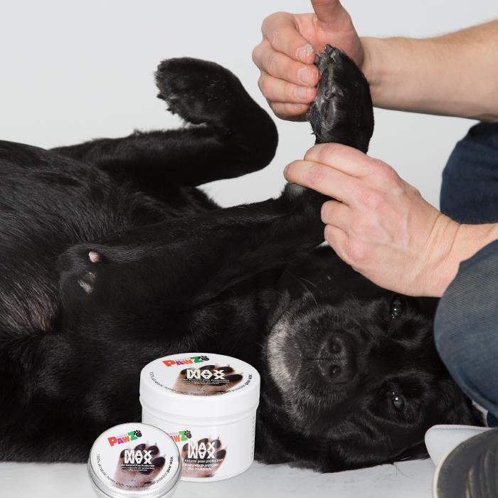 Pawz MaxWax Paw Wax - Image 2