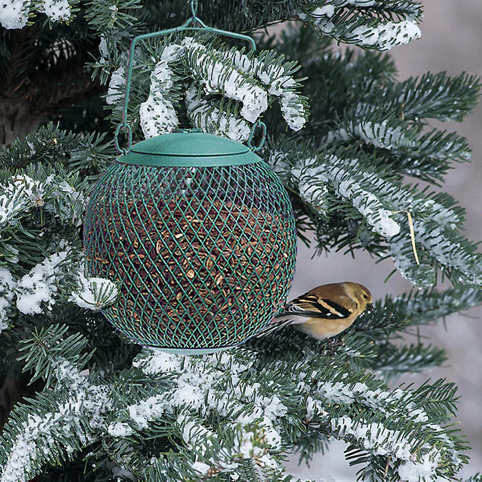 Perky Pet Bird Feeder - Seed Ball - Image 3