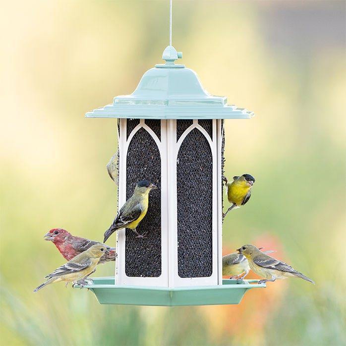 Perky Pet Gazebo Bird Feeder - Pistachio - Image 3