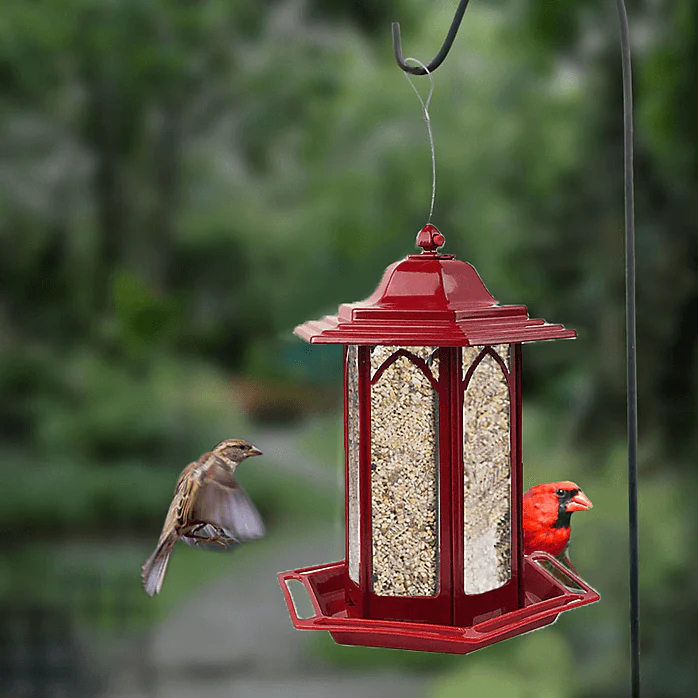 Perky Pet Gazebo Bird Feeder - Red - Image 5