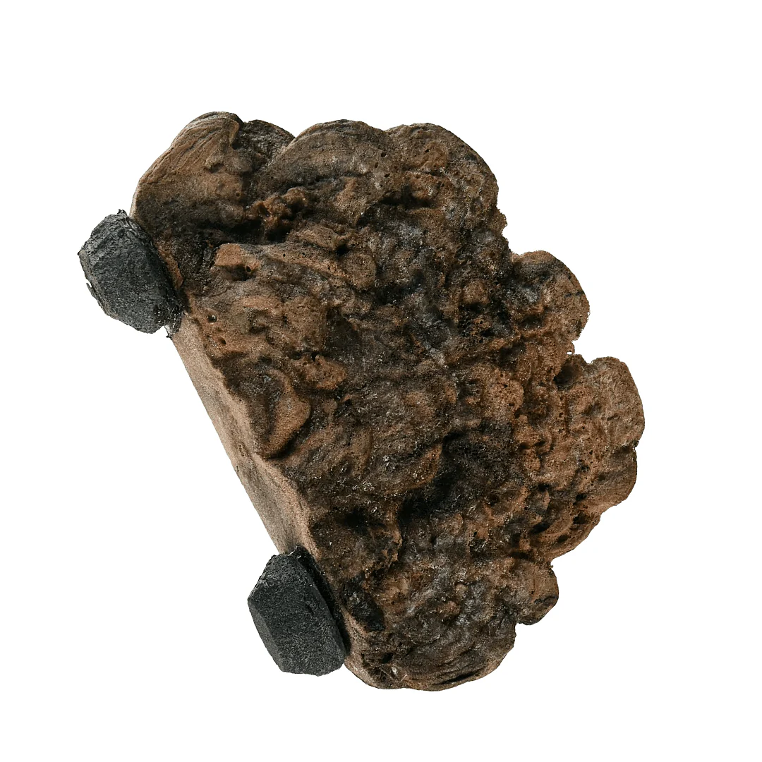 Pet-Tekk MagNaturals Mushroom Ledges
