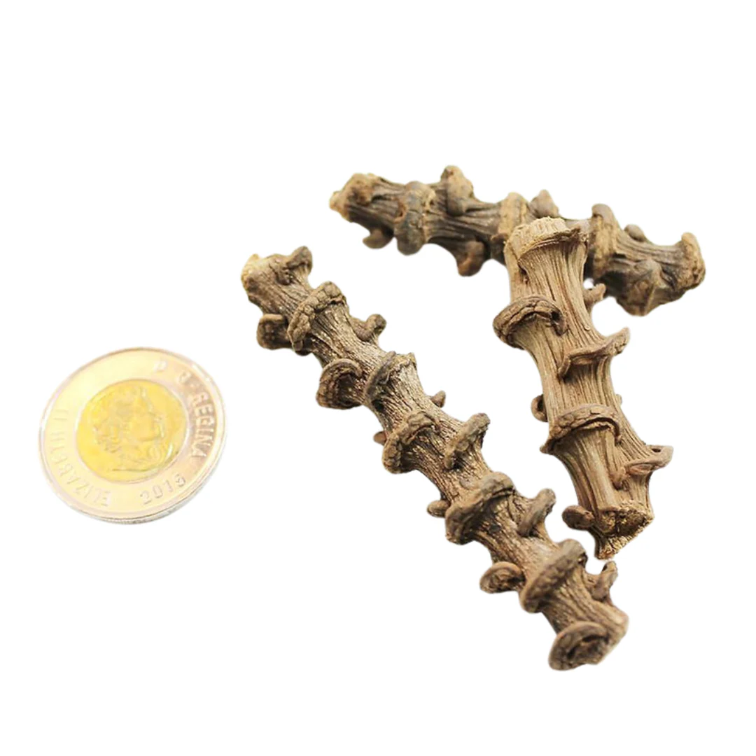 Peter's Botanicals Banana Stems - Image 2