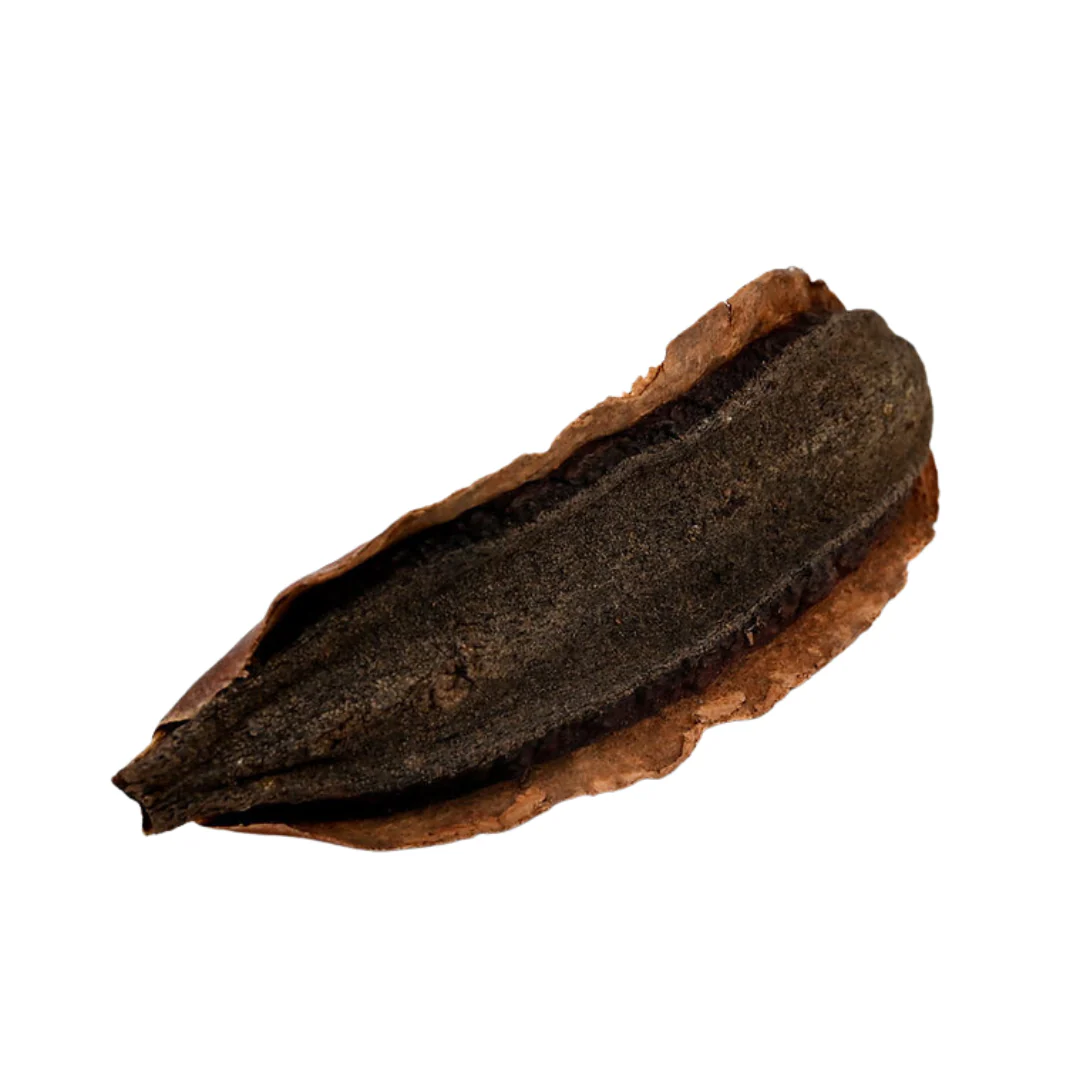 Peter's Botanicals Kielmeyera Pod - Image 2