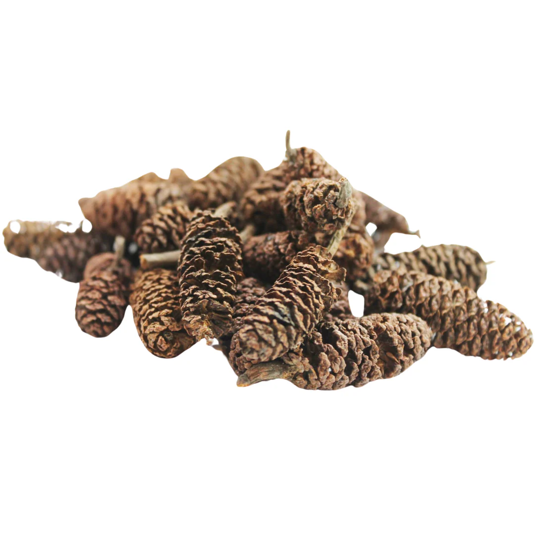 Peter's Botanicals The 'Coned' Pack - Image 2