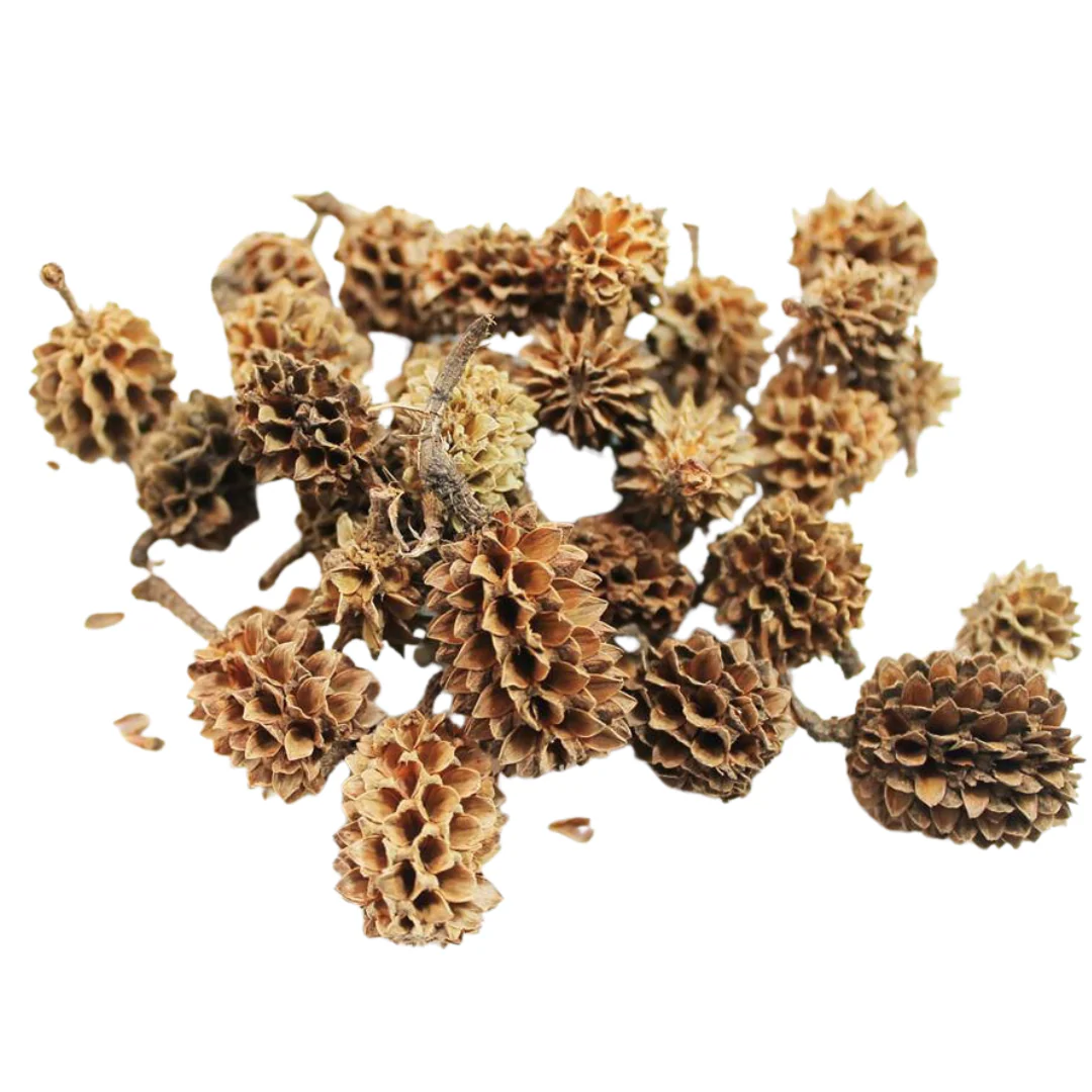 Peter's Botanicals The 'Coned' Pack - Image 3