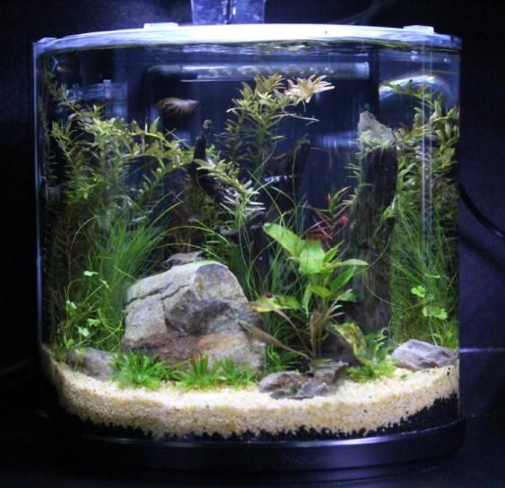 Peter's Premium Aquarium Substrate - Oliver Creek - Image 2
