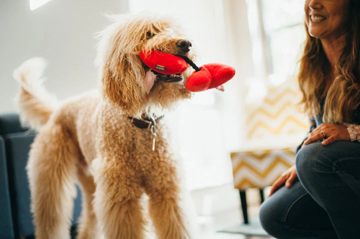 PLAY - Puppy Love Collection - Fur-Ever Hearts - Image 4