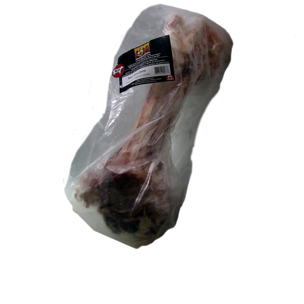 Puppy Love - Frozen Dino Bone