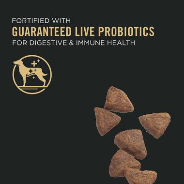 Purina Pro Plan Sensitive Skin & Stomach Small Breed Recipe 7.26kg - Image 2