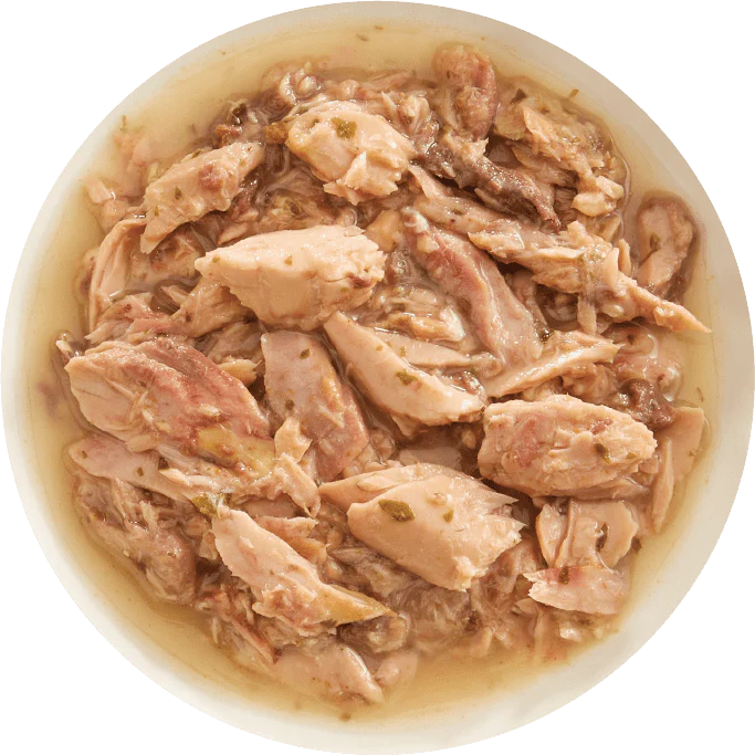 Rawz AUJOU Aku Tuna & Salmon Recipe Cat Food 69g - Image 2