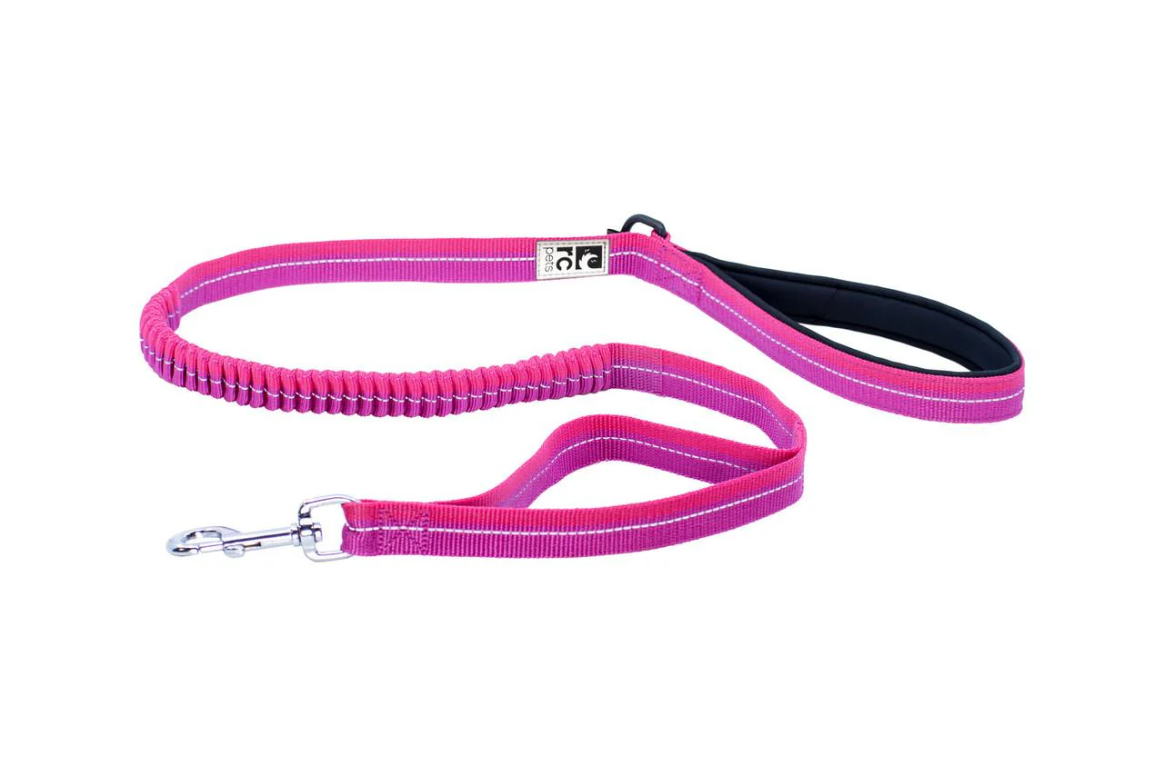 RC Pets Bungee Traffic Leash - Mulberry & Azalea - Image 2