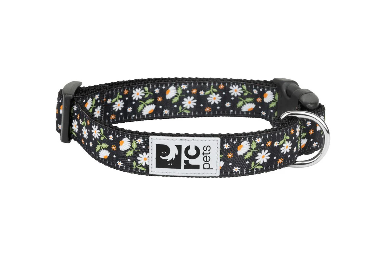RC Pets Clip Collar - Daisies Large