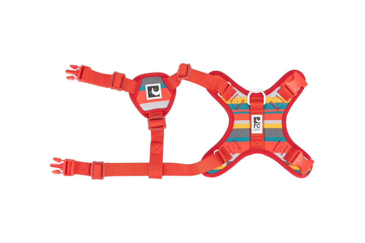 RC Pets Forte Step In Harness - Image 4