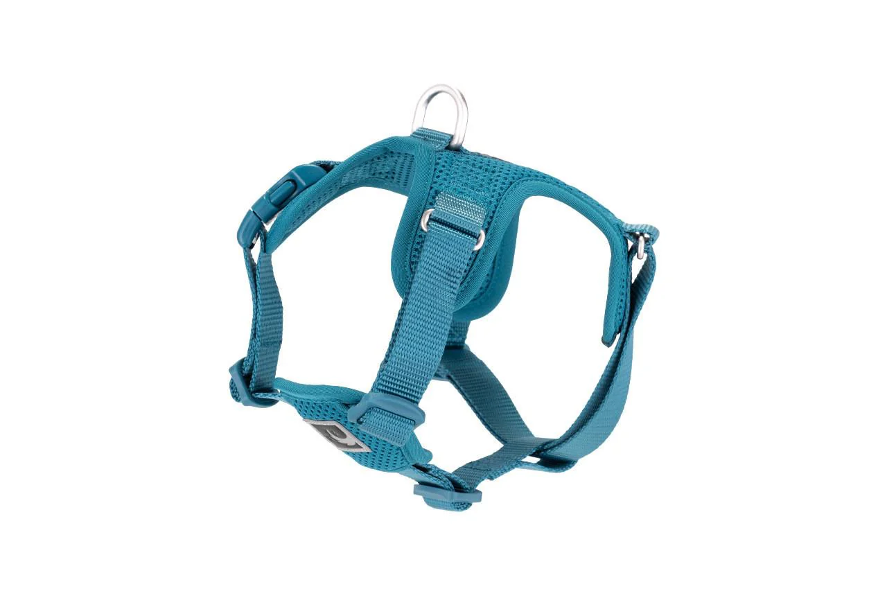RC Pets Forte Step In Harness - Image 5