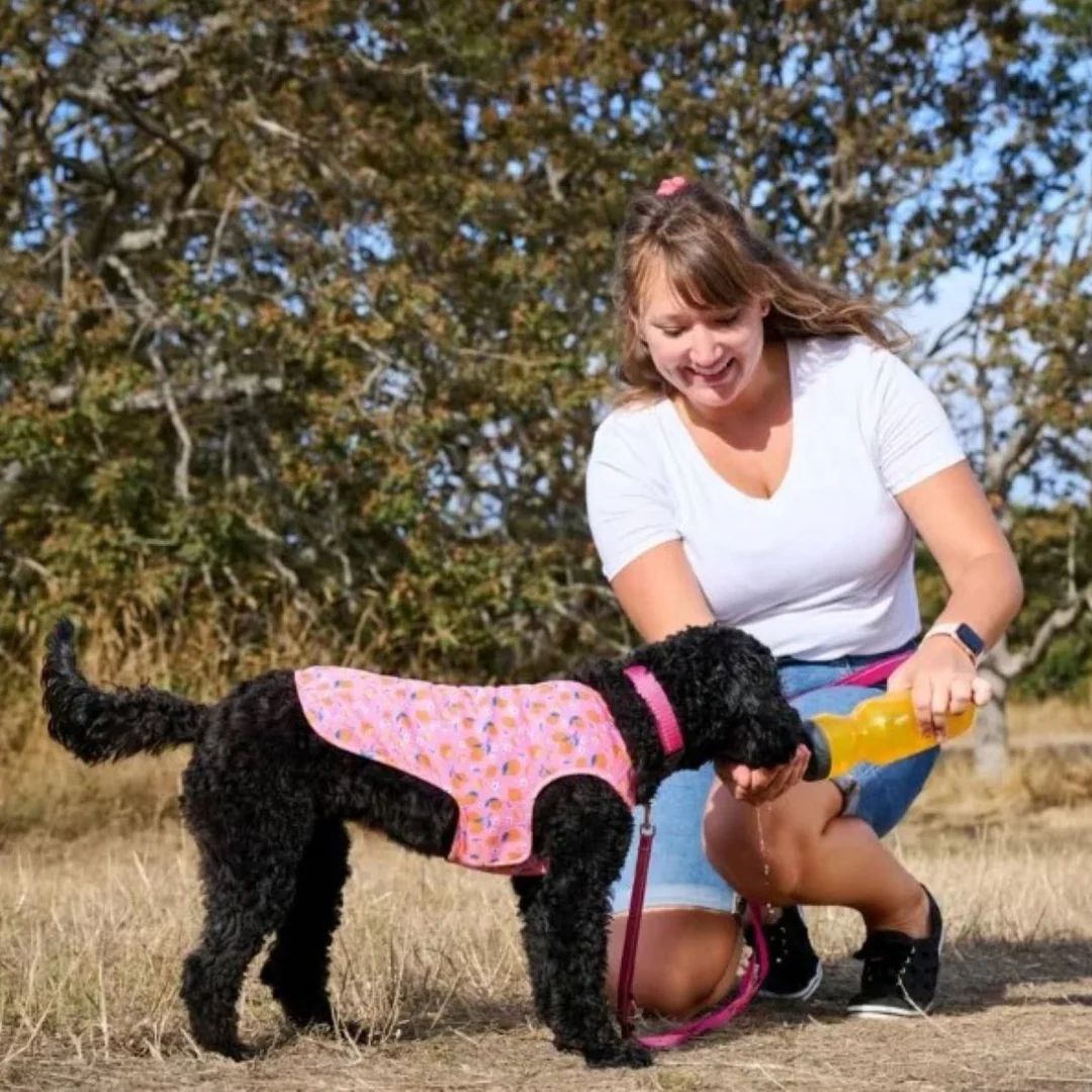 RC Pets Zephyr Cooling Vest - Ice Cream - Image 3