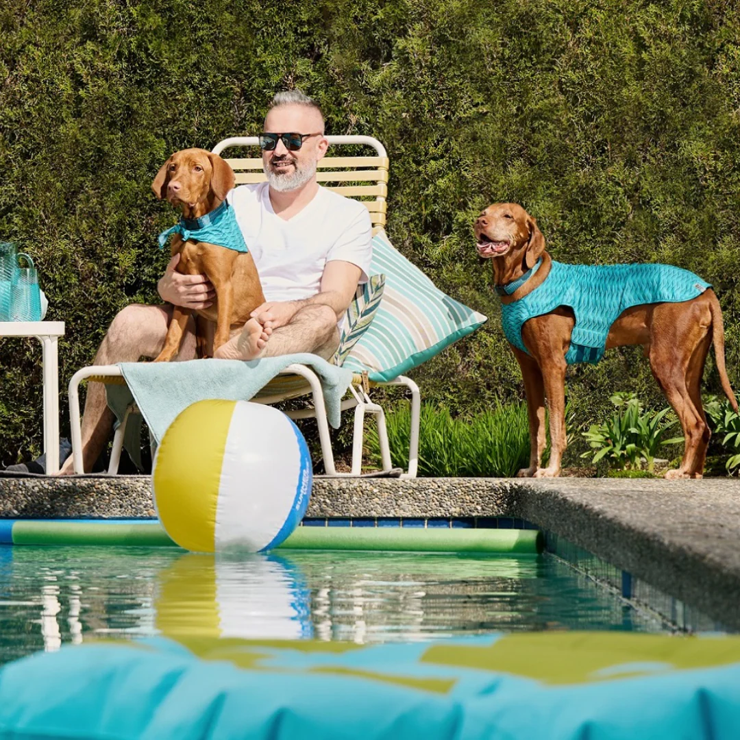 RC Pets Zephyr Cooling Vest - Ice Cream - Image 4