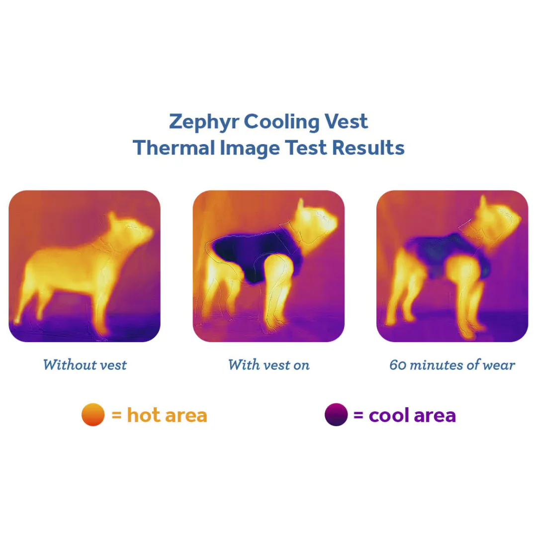 RC Pets Zephyr Cooling Vest - Multi Stripes - Image 2