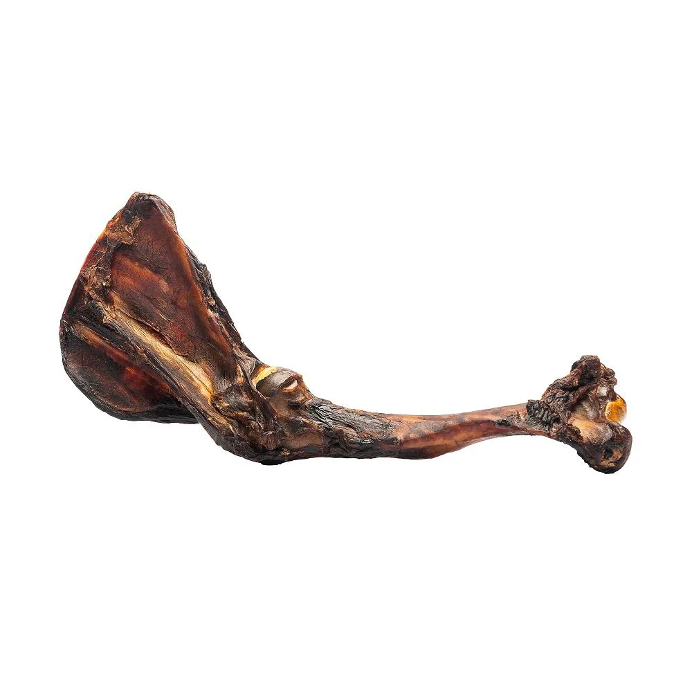Roam Big Bondi Kangaroo Forearm 25g - Image 2