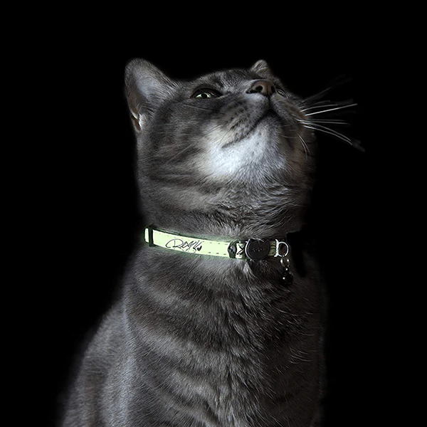 Rogz GlowCat Breakaway Buckle Collar - Image 6