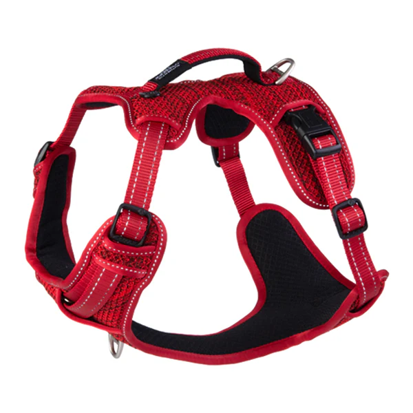 Rogz Lumberjack X-Large Explore Harness - Available in 3 Colours - Image 3
