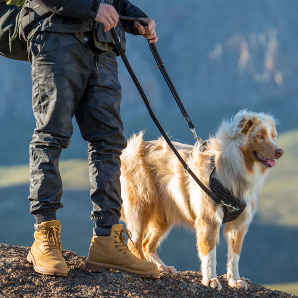 Rogz Lumberjack X-Large Explore Harness - Available in 3 Colours - Image 4