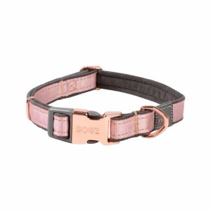 Rogz Urban Classic Collar - Image 2