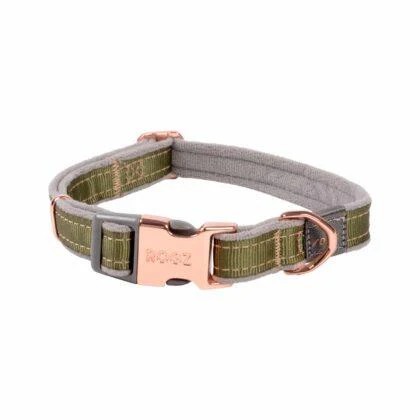 Rogz Urban Classic Collar - Image 3