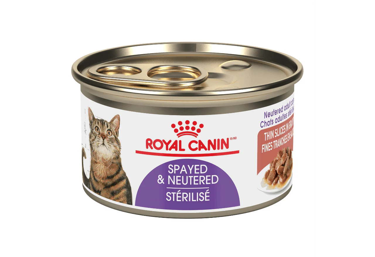 Royal Canin Spayed & Neutered Adult Cat Thin Slices in Gravy 85 g