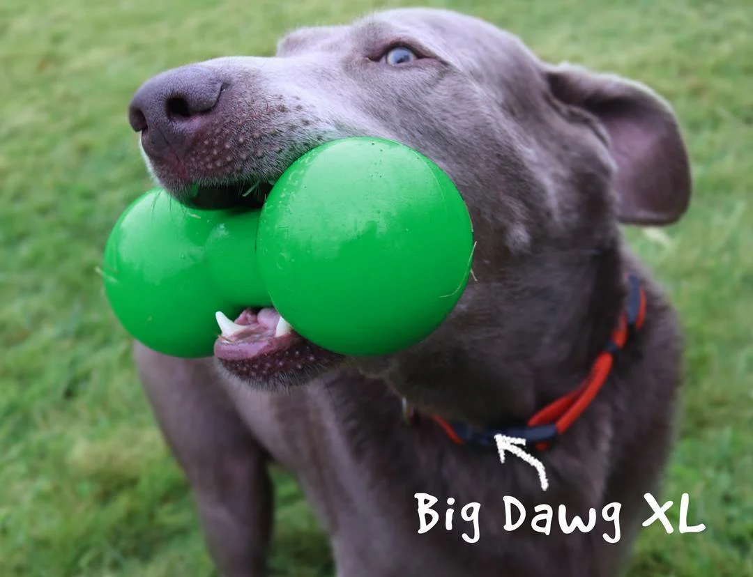 RuffDawg Big Dawg Barbell - Image 2