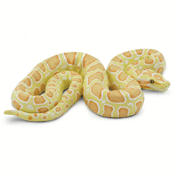 Safari Ltd. Albino Burmese Python