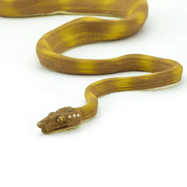 Safari Ltd. Amazon Tree Boa - Image 2